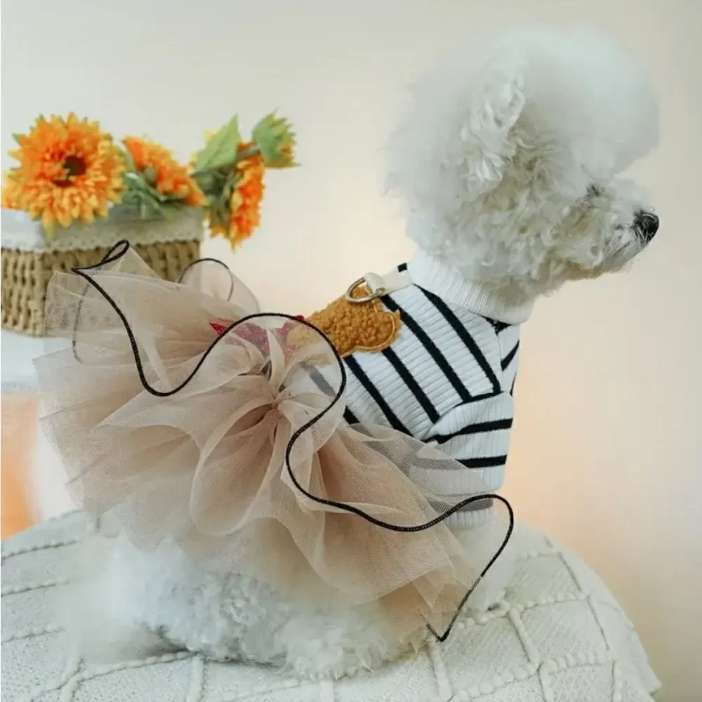 Teddy Bear Tulle Skirt Dog Dress